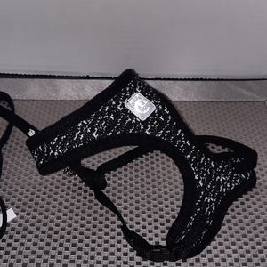 SOLD Black Cat Flex Harness Leash Set